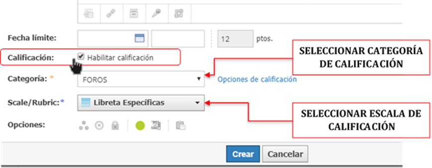 calificación del foro
