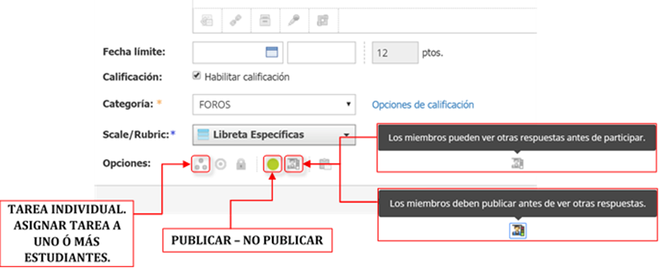 opciones adicionales del foro