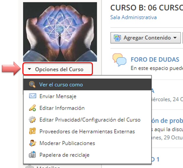 opciones del curso